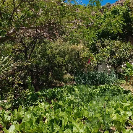 Dionyssos Crete Gasthof *