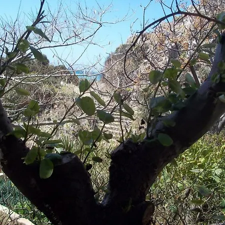 Dionyssos Crete Preveli